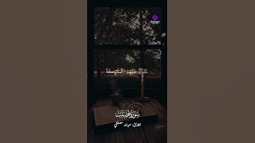 "تلاوة تهز الوجدان وتغمر الروح نورًا 🌙💖 | صوت الشيخ عبدالله مصطفى"