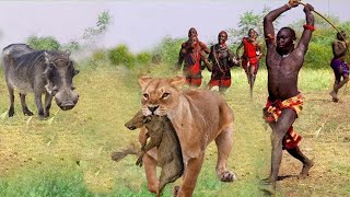 Watch How The Maasai aborigines Punish Lions And Warthogs When They Dare To Take Their Livestock