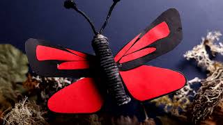 The Wonderful World of Moths: a stop-motion animation by Species on the Edge