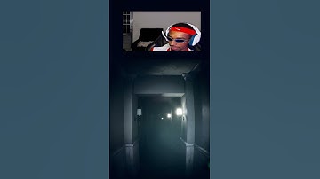 rinha de  nordestino | lupacimproprio em #Twitch