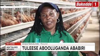 Agataliikonfuufu: Okunoonya Omulimi asinga  Tukuletedde abooluganda ababiri abalunda enkoko n'embizi
