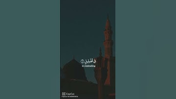 سورة الفيل اكتب شيئا تؤجر عليه❤️