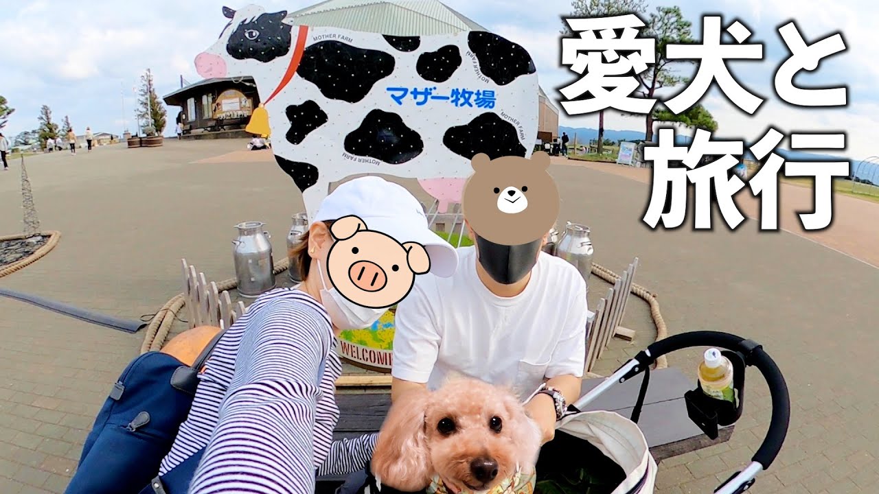 犬と日帰り旅行in関東 マザー牧場の標高300m貸切ドッグランで遊ぶ愛犬が凄く楽しそうだった トイプードルのわこ Youtube