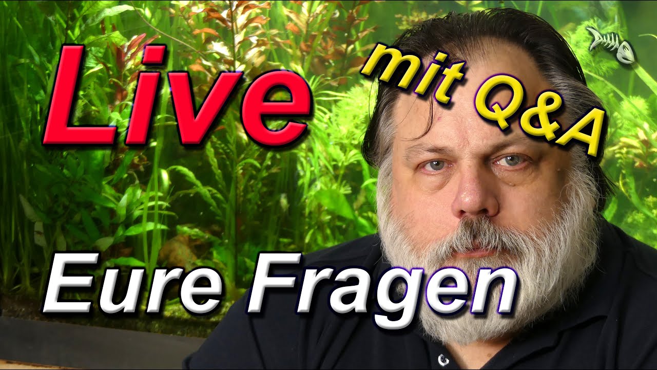 LIVE - mit Q&A 