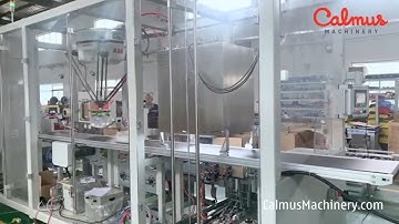 Case Packer for Stand Up Pouches - Cartoning Machine for Packaging Flexible Bags