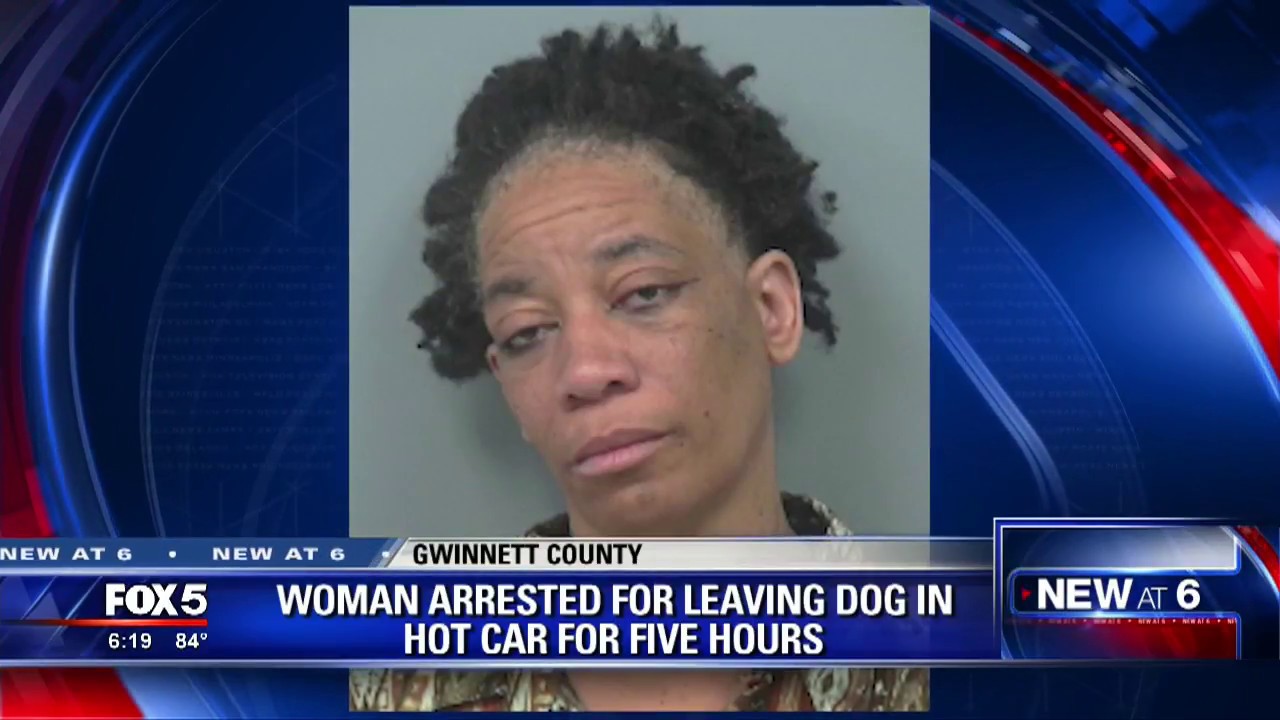Woman arrested for leaving dog in hot car for 5 hours YouTube