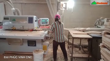 MÁY CƯA RONG RIPSAW LƯỠI DƯỚI WOODMASTER GIÁ TỐT NHẤT