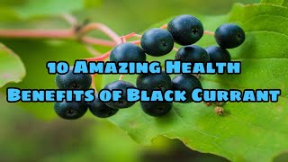 10 Amazing Health Benefits of Black Currant