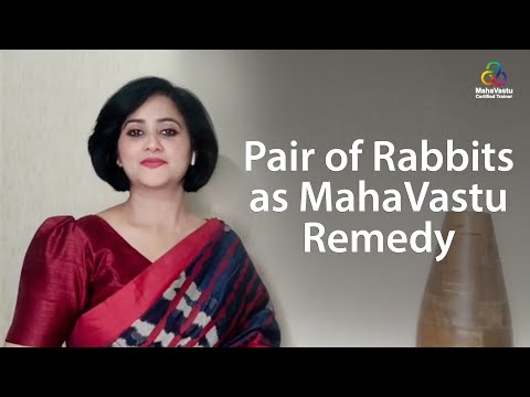 Pair of Rabbits as MahaVastu Remedy | Acharya Lipika Mehrotra