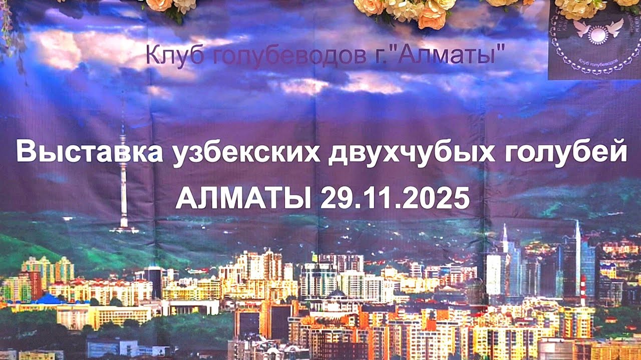 Выставка голубей Алматы Осень 2025. С Ярмаркой голубей. #выставкаголубей #ярмаркаголубей 