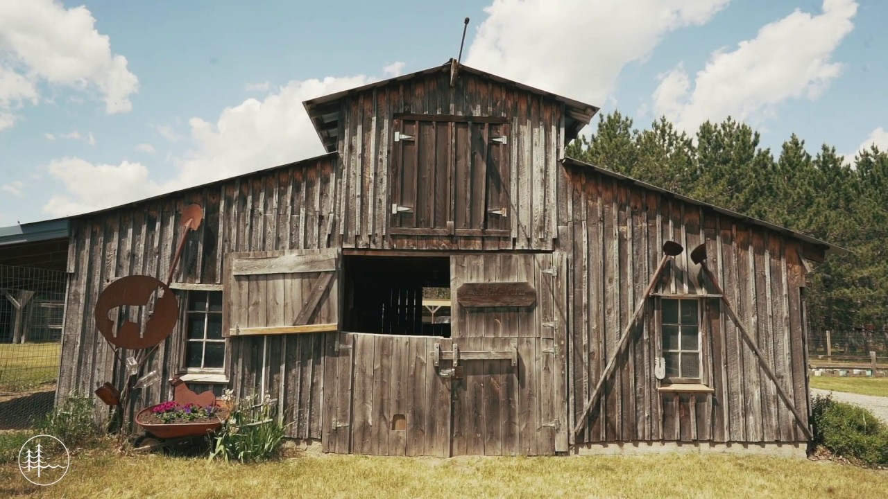 Woods to Water Real Estate YouTube