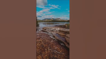 (أَلم يَعلم بأنّ اللّه يَرى) ماتيسر من سورة العلق للقارئ الشيخ محمد صديق المنشاوي رحمه الله ♥️🌿