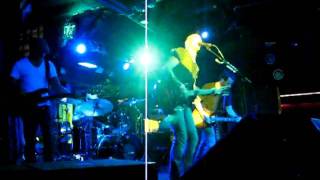 Fred Shafer -Honey Bee Wish You Were Here