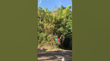 Tamborasi Salah Satu Jalan Paling Terjal di Kolaka Utara Sulawesi Tenggara | Letter S