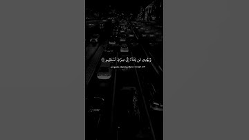 تلاوة هادئة من سورة يونس  #عبدالرحمن_مسعد #qurantranslation
