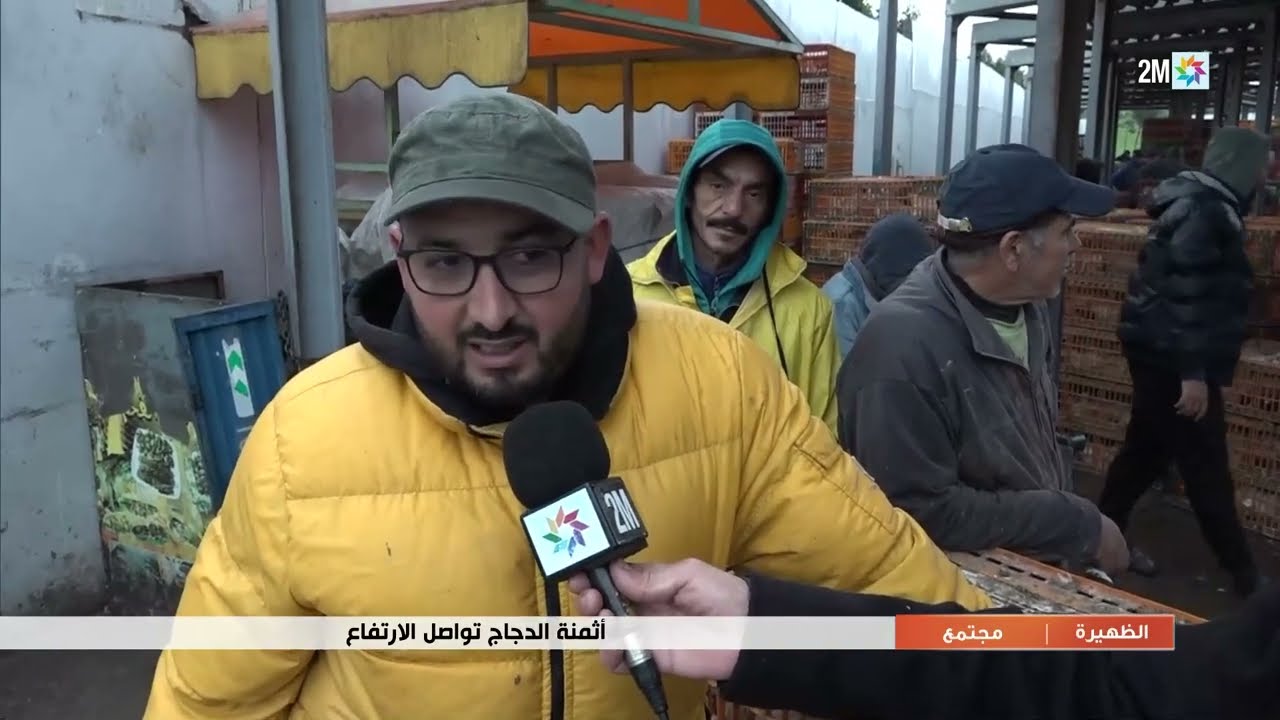 درهما للكيلوغرام الواحد...أثمنة الدجاج تواصل الارتفاع