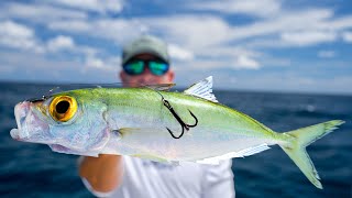 Most EXPENSIVE Deep Sea Bait...Catch Clean Cook (Mahi Mahi)