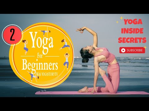 Video: Hatha vs Vinyasa Yoga: Sizin üçün ən yaxşı təcrübəni seçmək