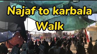 Najaf To Karbala Walk Clip Moharram