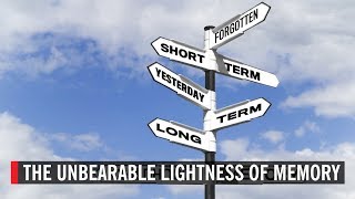 The Unbearable Lightness of Memory | World Science Festival