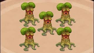 rush oak
