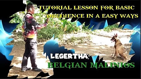 "TUTORIAL LESSON FOR BASIC OBEDIENCE IN A EASY WAYS"