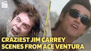 Craziest Jim Carrey scenes from Ace Ventura