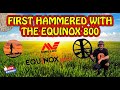 FIRST HAMMERED WITH THE NOX | MINELAB EQUINOX 800 | METAL DETECTING UK