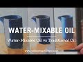 Water-Mixable Oils vs Traditional Oil Paint Review & Techniques (HD)