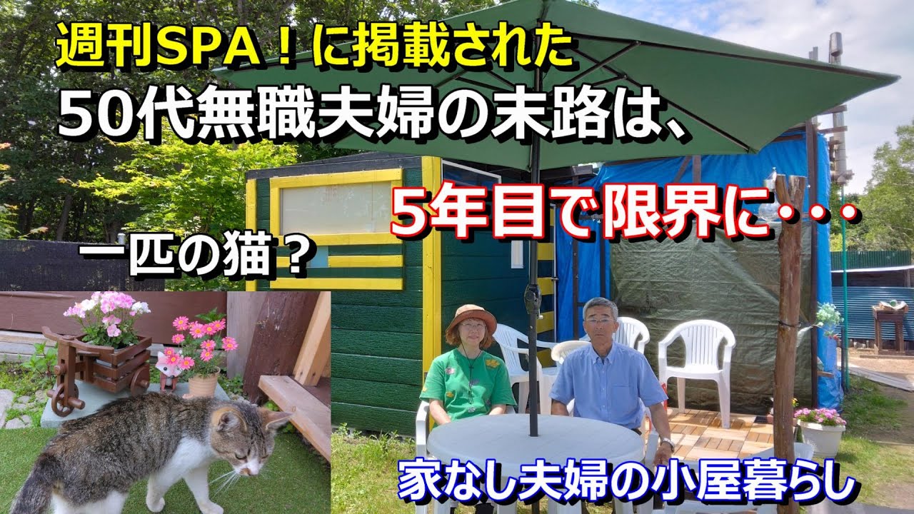働けない早期退職は、地獄をみるよ！5年目のリアル　猫の2日目【50代無職、家なし夫婦の小屋暮らし】シャワーシステムなど　優貴プロジェクト