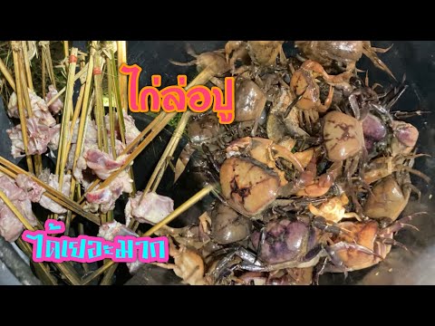 อีสานบุก.พามาใส่🦀ไก่ล่อปู🦀คุบอ อีสานบุก.เก็บหน่อไม้สีม่วง.หรือว่าแหนงโจดจ้าพี่น้อง🎋