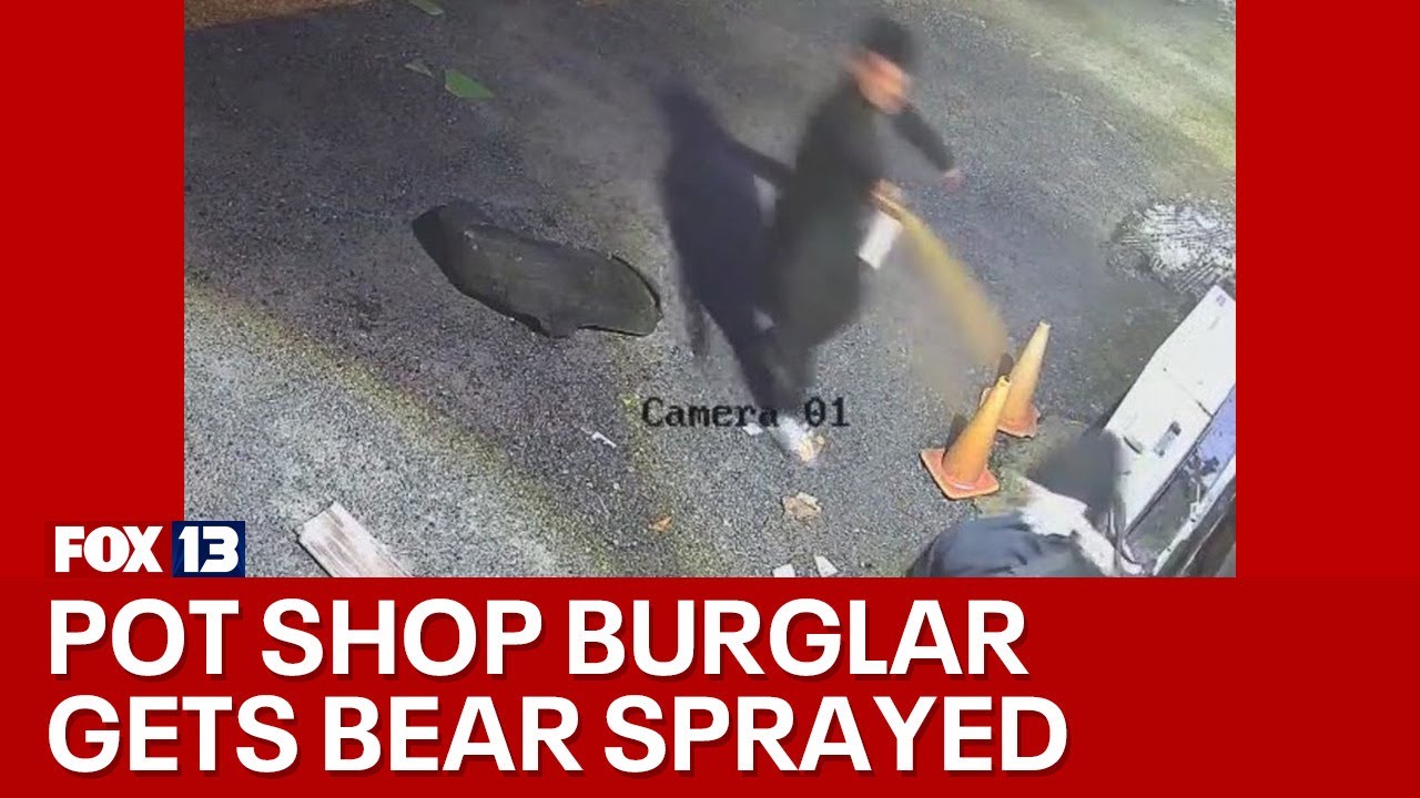 Man use bear spray to thwart pot shop burglars