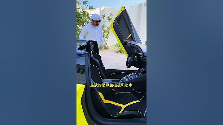 在迪拜富不富看門前樹 一棵樹得養護成本每年8000美元！土豪的世界我不懂#抖音看世界 #迪拜 #異國風情 - 天天要聞