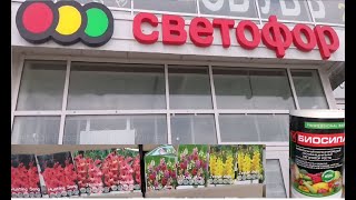 СВЕТОФОР, товары для дачи, шопинг.