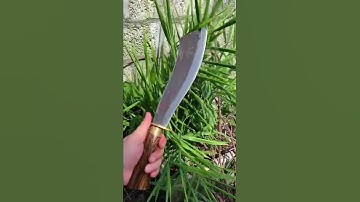 Dao parang đi rừng chuẩn Phúc Sen Cao Bằng