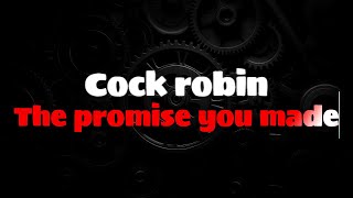 Cock robin - The promise you made (ENGLISH LYRICS + GREEK TRANSLATION) screenshot 4