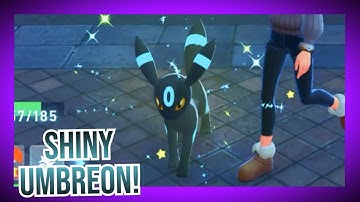 Shiny Eevee after 70 Resets and Evolving into Shiny Umbreon! - Pokemon Legends: Z-A