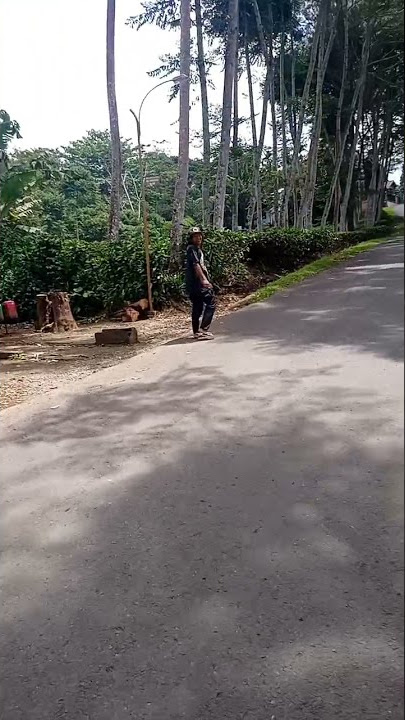 Indah nya suasana pagi#kebun teh#Shorts