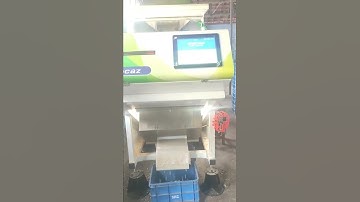 cashew color sorter machine processing video || kirubha exports
