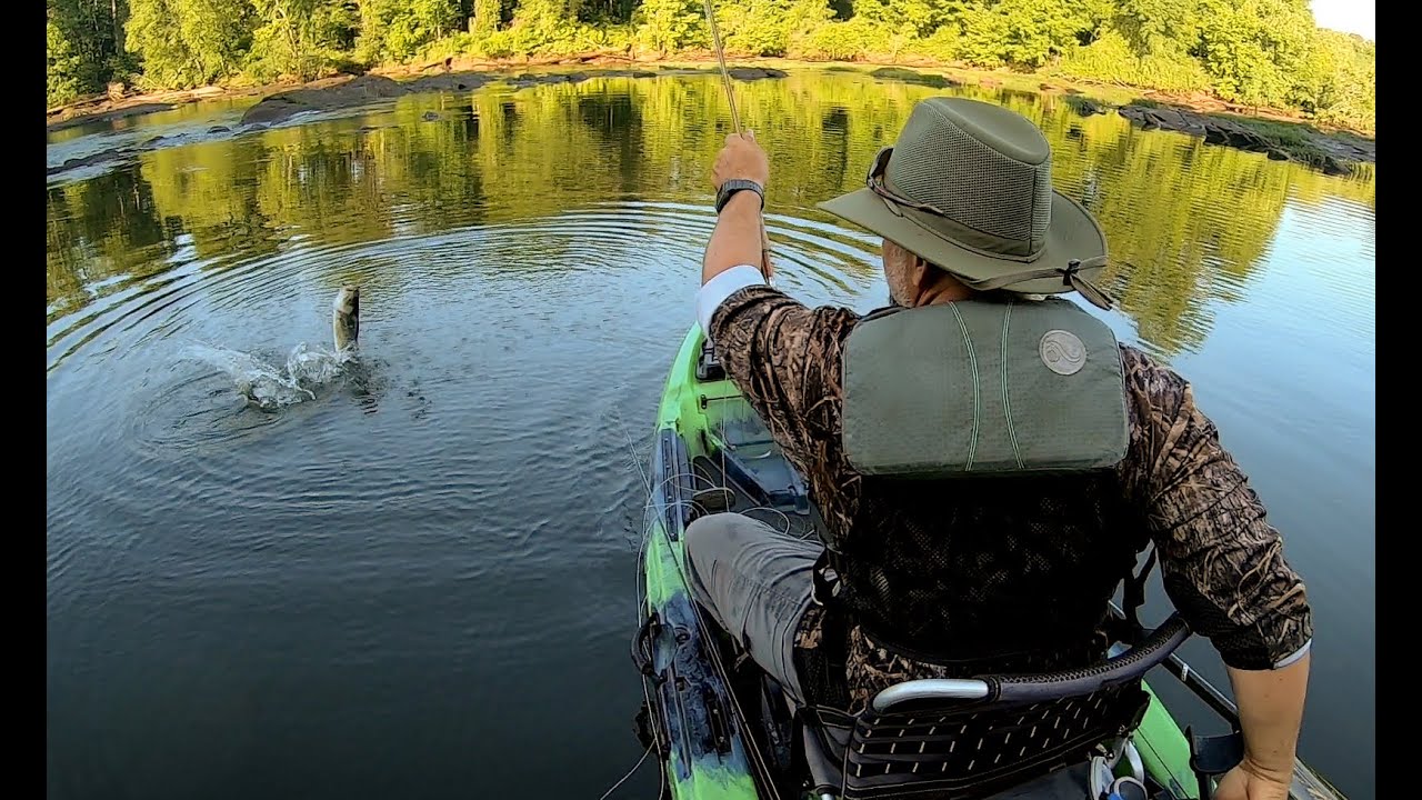 Fly Fishing For Shoal Bass On My Birthday! YouTube