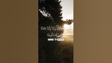 ماهر المعيقلي - سورة آل عمران ( برواية حفص عن عاصم ) الأية 16 - 18