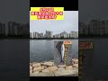 曇り空には○○が狙える‼︎ 関西最大級の釣り場『南芦屋浜』釣果情報5/21