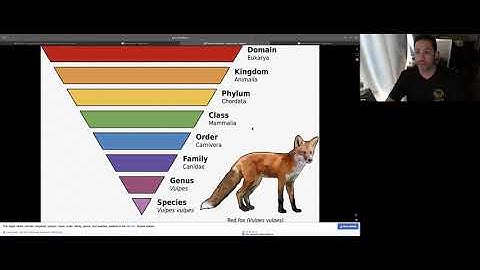 Socionics - Introverted thinking (Ti) examples. How to know if you have high valuing Ti or not.