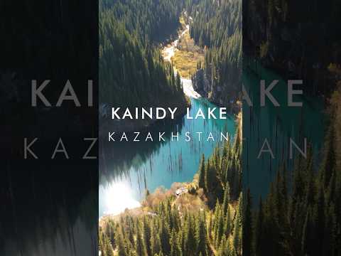 Trees growing out of a LAKE?! Kaindy Lake, Almaty, Kazakhstan #kazakhstan #almaty