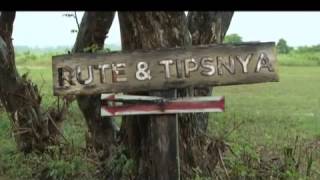 Promo Program   Rute Keren