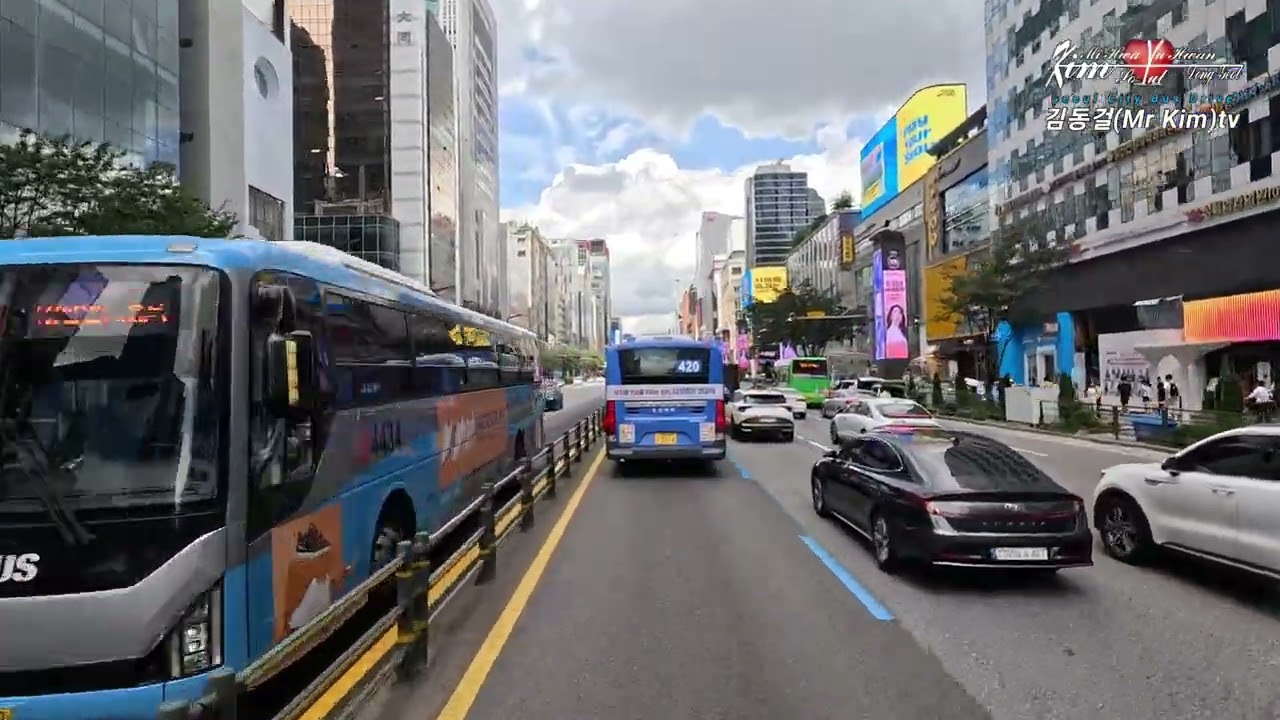 중앙버스전용차로는 빠르게! 시원하게! 4K