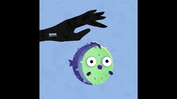 Fish animation After Effects