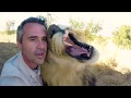 Best Moments of 2018 | The Lion Whisperer