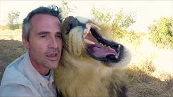 Best Moments of 2018 | The Lion Whisperer