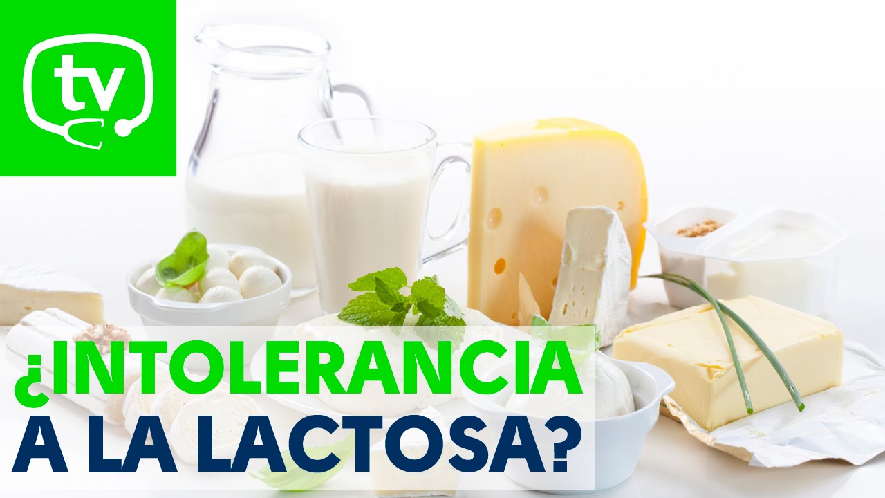 Soy intolerante a la lactosa, ¿qué puedo hacer? YouTube